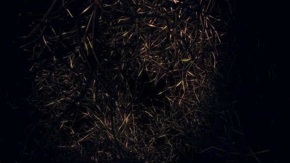 Flying In Death Forests 04 HD alt