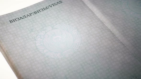 Put a Stamp in the Passport: Russia Visa, Approved