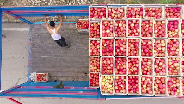 Aerial View of People Loading Truck with Fruits Harvest