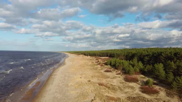 Garciems Beach, Latvia Baltic Sea Suny Winter Day Big Clouds Sand Dunes With Pine Trees. Aerial 4K