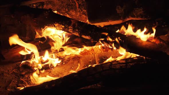 Bonfire Burning at Night in Slow Motion. Flames of Campfire at Nature