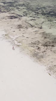 Vertical Video of a Coastal Landscape in Zanzibar Tanzania