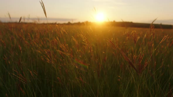 Beautiful Nature and Landscape at Sunset in the