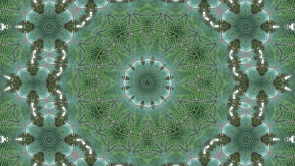 Animation of green plant canopy kaleidoscopic