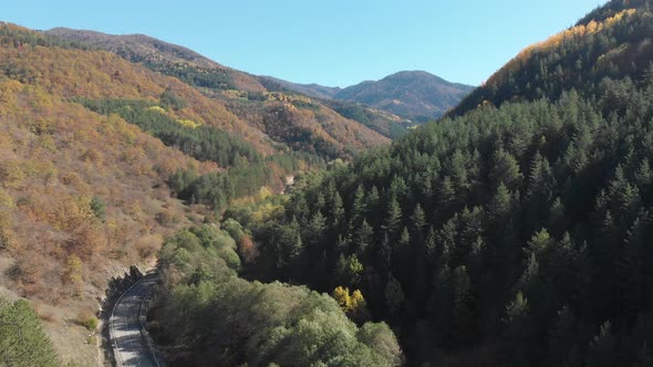 Road In Mountains With Fall Forest (Dlog)