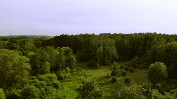 Meadows and Forests in the light of the setting Sun