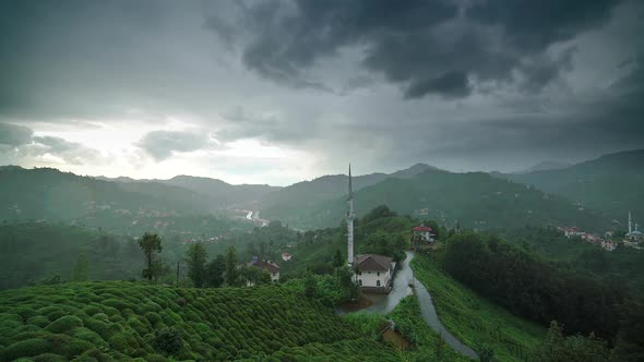 8K Tea Plantations In Rural Pakistan