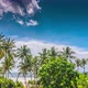 Sri Lanka Sunny Beach With Palms - VideoHive Item for Sale