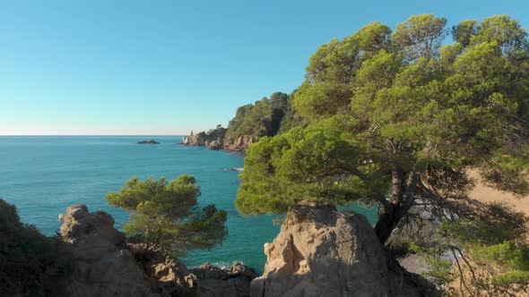 Aerial, rising, drone shot, over large stones and trees, revealing the Lloret de Mar beach, rocky co