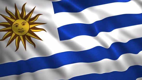 Close Up of Abstract Uruguay Flag Animation Seamless Loop