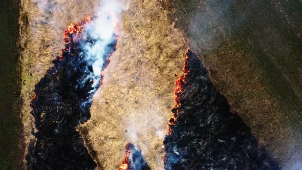 Top view of Smoking Wild Fire. Field in the fire. Amazon and Siberian wildfires. Dry grass