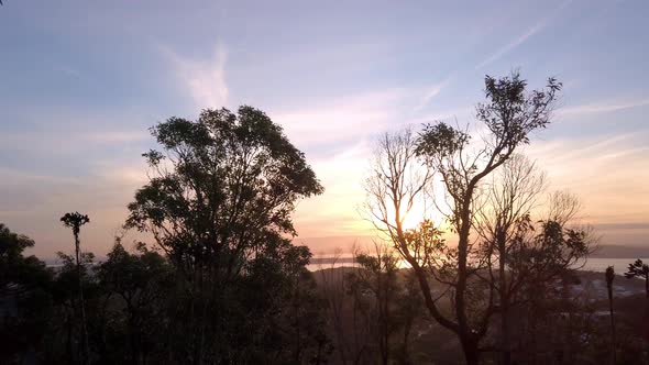 Spectacular bright sunrise sunset revealed behind the tree silhouettes. Handheld shot sliding to the