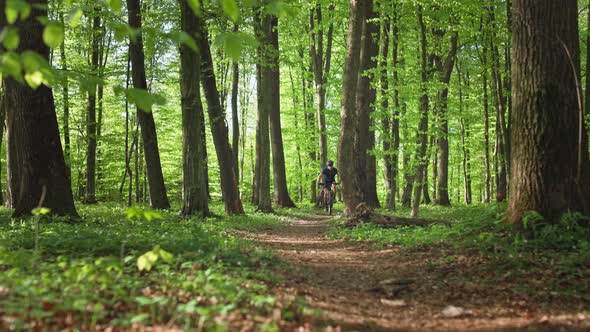 A Cyclist is Fast Riding a Forest Trail on a Bicycle