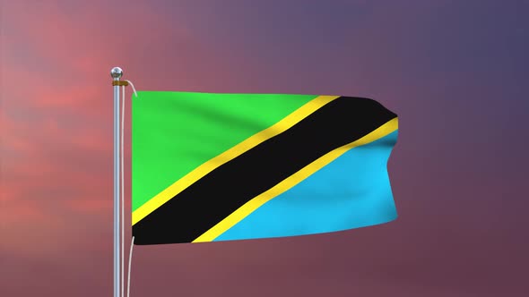 Tanzania Flag 4k