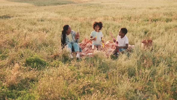 A positive afro-american family is having picnic time