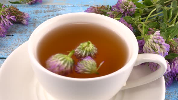 Brewing a tisanes from red clover in a white cup. Composition on vintage light blue wooden tabletop 