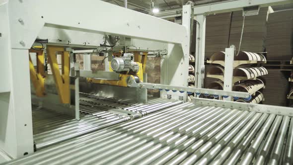 A Working Conveyor in a Paper Mill. Technology, Factory, Kyiv, Ukraine