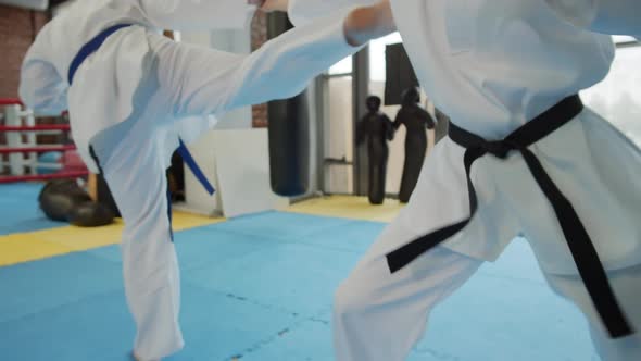 Two Female Fighters Exercising