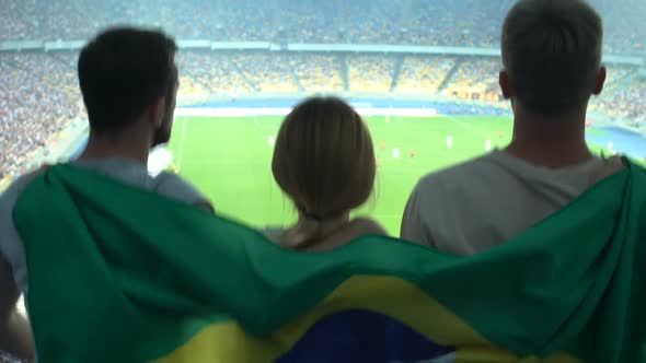 Cheerful Brazilian Soccer Fans Supporting National Team, Championship Finals