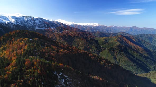 Autumn And Snowy Mountains