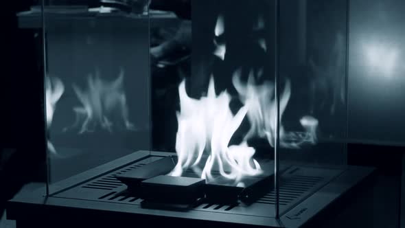 Modern Bio Fireplot Fireplace on Ethanol Gas.