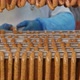 Fresh Sausages Are Placed On Racks In A Meat Processing Factory - VideoHive Item for Sale