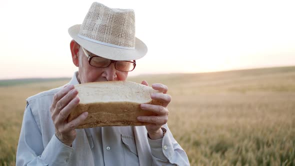 Senior Man in Wheat Field Sniffs Freshly Baked Bread and Looks at Camera