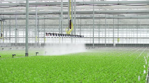 Greenhouse Water Agriculture System Controlled By Modern Technologies Spbd