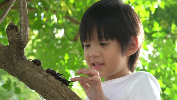 Cute Asian child looking through a magnifying glass at a rhinoceros beetle in the forest