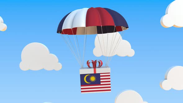 Carton with Flag of Malaysia Falls with a Parachute
