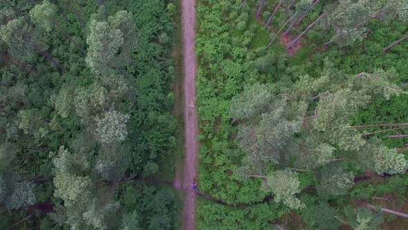 Aerial view of a mountain biker on a singletrack trail