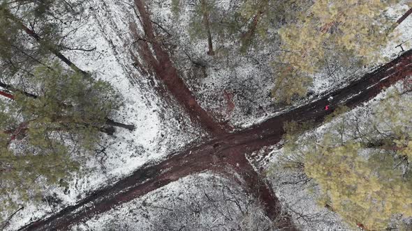 Woman trail running in winter snow park training for competitions aerial top view 