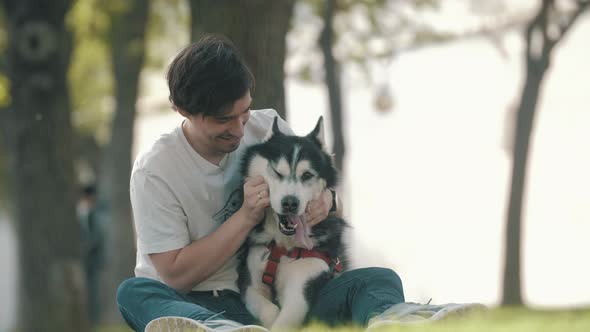 Man caressing Husky dog and sitting on grass in park during stroll.