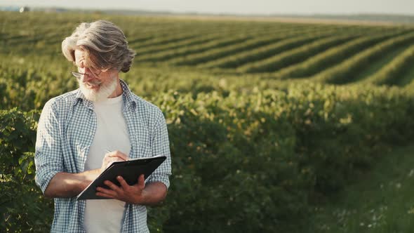 Mature Confident an with Notebook Going Through a Field of Sunflowers