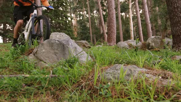 Male mountain biker riding in the forest