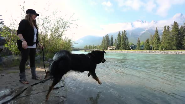 Dog Retrieves Stick From Mountain Lake