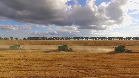 Combines Harvesters in the Field