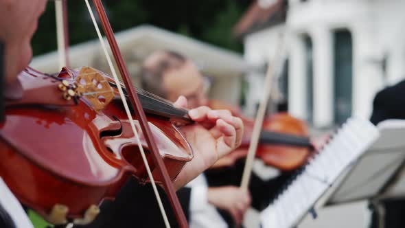 Musical Quartet Three Violinist Playing Outdoor