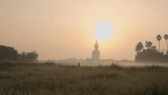 The Dew On The Grass Has A Big Buddha In The Background