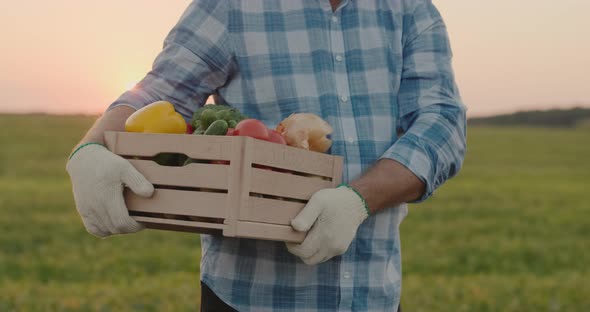 A Male Farmer Holds a Wooden Box of Vegetables