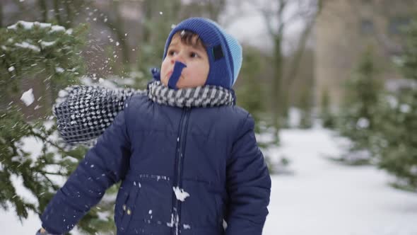 Boy Playing Snowballs at the Park