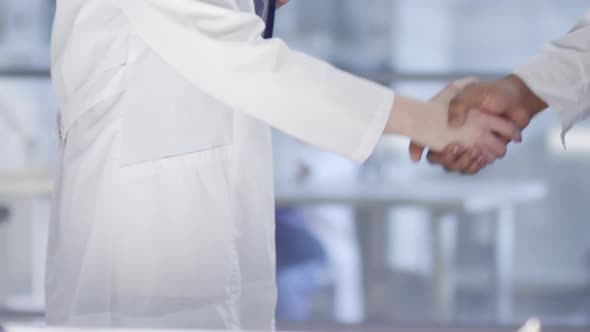 Male and Female Doctors Shaking Hands