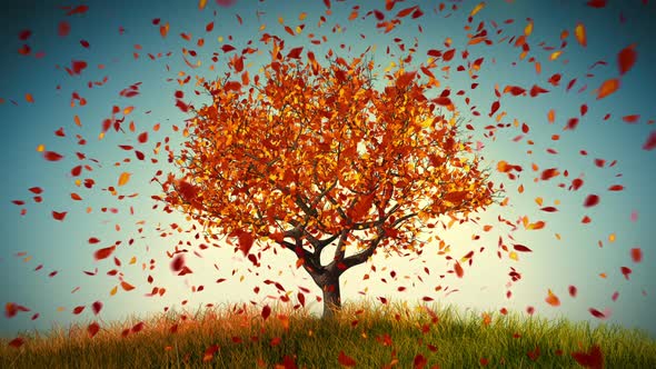 Falling Autumn Leaves From Tree alt