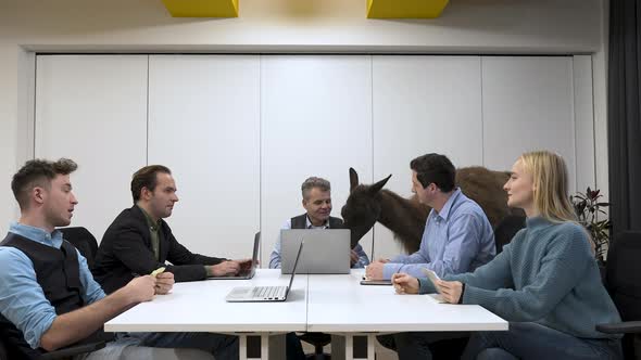 Five people having a business meeting with a llama in the office.