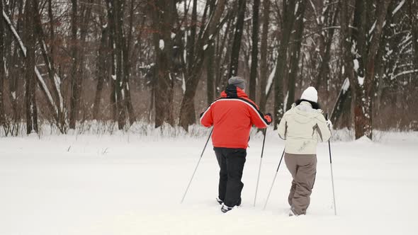 Couple Senior Man and Woman are Walking with Ski Poles and Looking Around Enjoying Nature in Forest