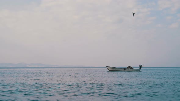 Fishing Boat with Seagull