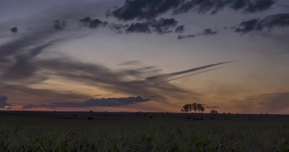 Flat Hill Meadow Timelapse at the Summer Sunrise Time. Wild Nature and Rural Field. Sun Rays, Trees