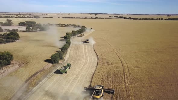 Aerial view of tractors and other farming machinery harvesting a vast field of grain in perfect team