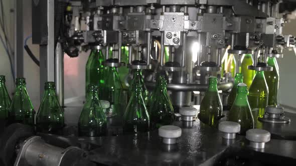 Transparent Glass Bottles Move on the Conveyor