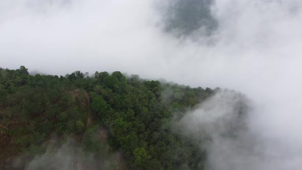 Aerial view misty low fog cloud cover the forest